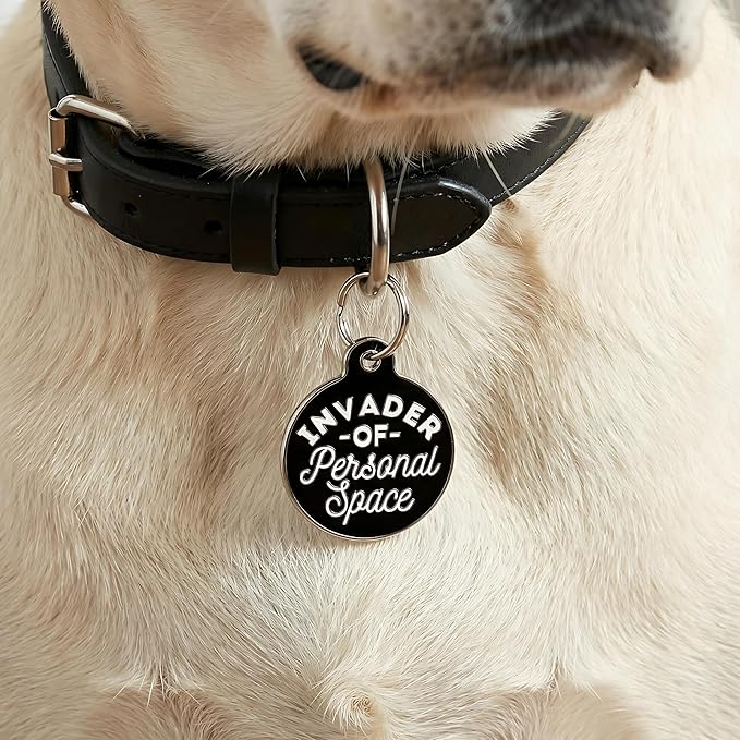 Bad Tags Personalized Dog and Cat ID Tags in 25+ Designs and 2 Sizes - 5 Lines of Custom Engraved Text - Funny Cute Personalized Pet Tags (Invader of Personal Space - Black, Large (1.25 inch))
