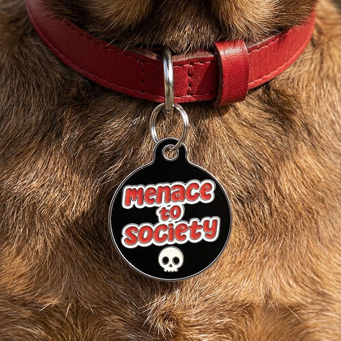 Bad Tags Personalized Dog and Cat ID Tags in 25+ Designs and 2 Sizes - 5 Lines of Custom Engraved Text - Funny Cute Personalized Pet Tags (Menace to Society, Small (1 inch))