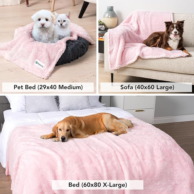 PetAmi Dog Blanket for Small Dogs Pink, Fluffy Soft Puppy Blanket, Sherpa Fleece Cat Blanket for Kitten Doggie, Calming Pet Blanket Throw for Couch Sofa Bed Washable, Small 24x32