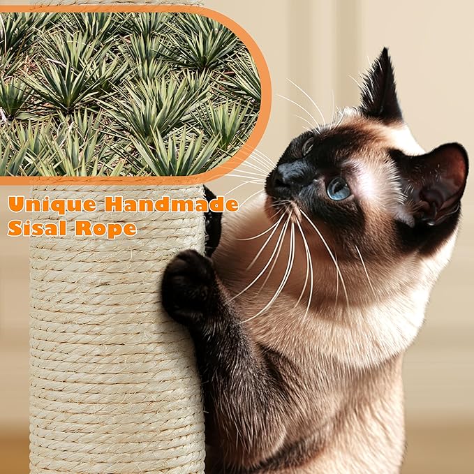 Topeakmart 62.2 inches Cat Tree, Cat Tower w/Double Condos, Scratching Posts & Hammock, Cat Activity Tree Kitten Play House, Black