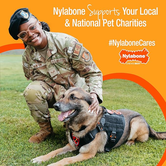 Nylabone Original & Textured Bone Power Chew Toy for Dogs, Durable & Tough Dog Toys for Aggressive Chewers, Basted Blast Bacon and Steak Flavor, X-Small Dogs - Up to 15 lbs, 2 Pack