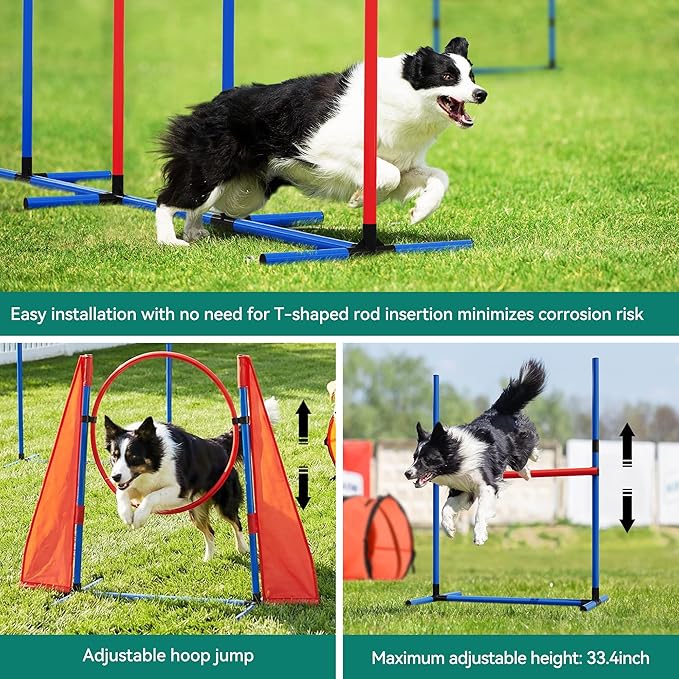 DWVO Dog Agility Accessories Kit: Comprises of a Teaser Pole, 2 Hurdles, 6 Weaving Poles, Agility Tunnel, Pause Box, Full Set of Agility Equipment for Backyard Indoors Outdoors