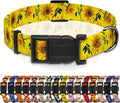 Dog Collar, Floral Boys Girls Puppy Collar, Adjustable Soft Pet Collar with Safety Buckle for Small Medium Large Dogs (Yellow Sunflower, XS)