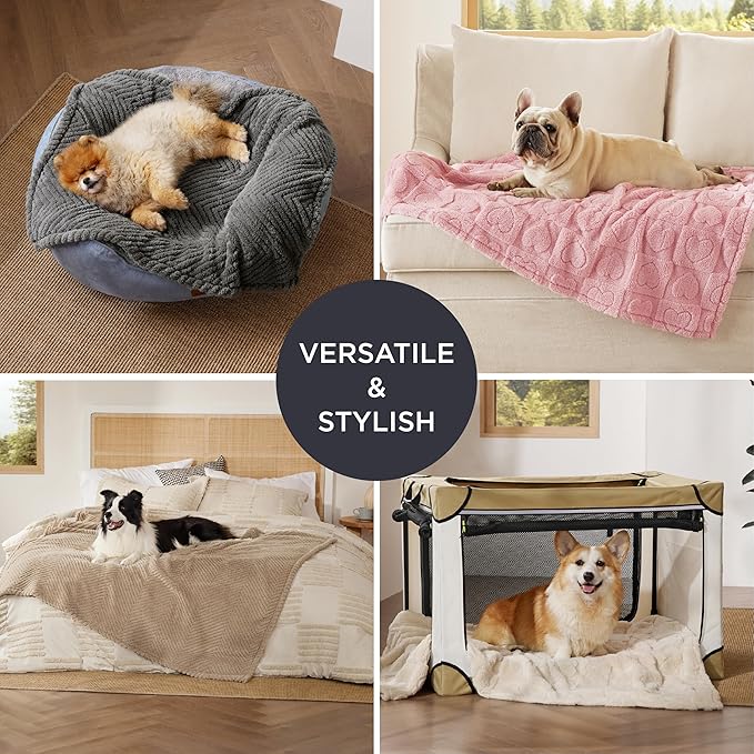 Bedsure Dog Blanket for Small Dogs Washable - Fluffy Fuzzy Puppy Cat Blanket with Premium 300GSM Coral Fleece Soft for Pet Kitten Doggy, Pink, 25x35IN