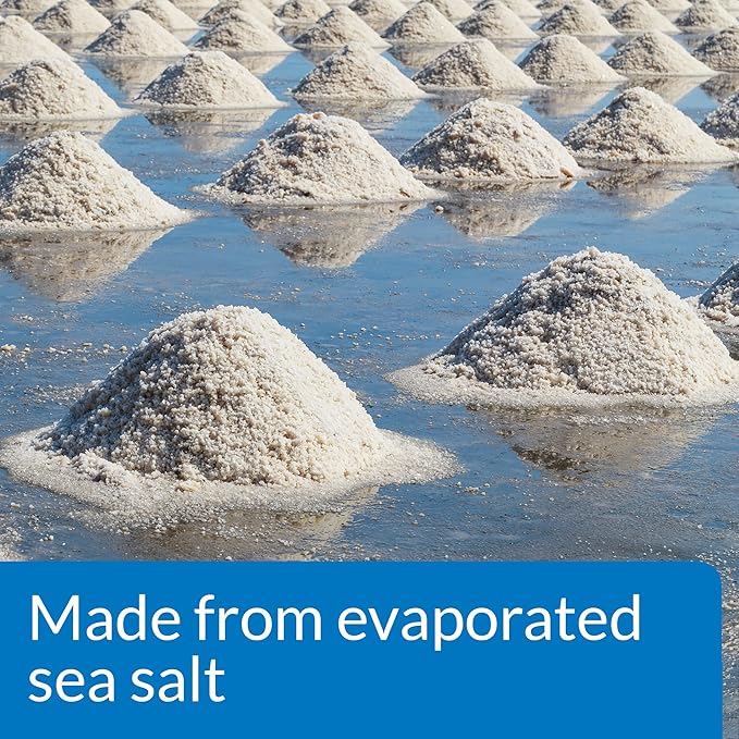 API AQUARIUM SALT Freshwater Aquarium Salt 17-Ounce Box