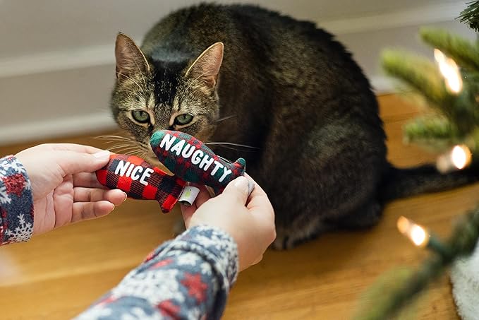 Pearhead Naughty Or Nice Christmas Cat Toy Set, Holiday Pet Owner Gift, Christmas Must Have Toy Set, Cat Teaser Toy, with Catnip Pouch, Set of 2