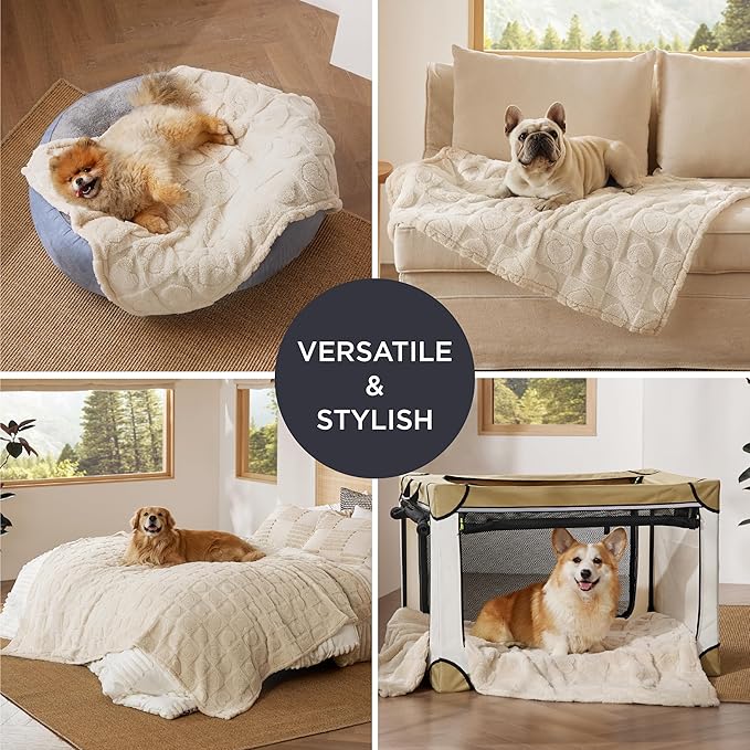 Bedsure Dog Blankets for Large Dogs Washable - Fluffy Fuzzy Cat Puppy Blanket for Couch with Premium 300GSM Coral Fleece Soft for Pet Kitten Doggy, White, 50x60IN