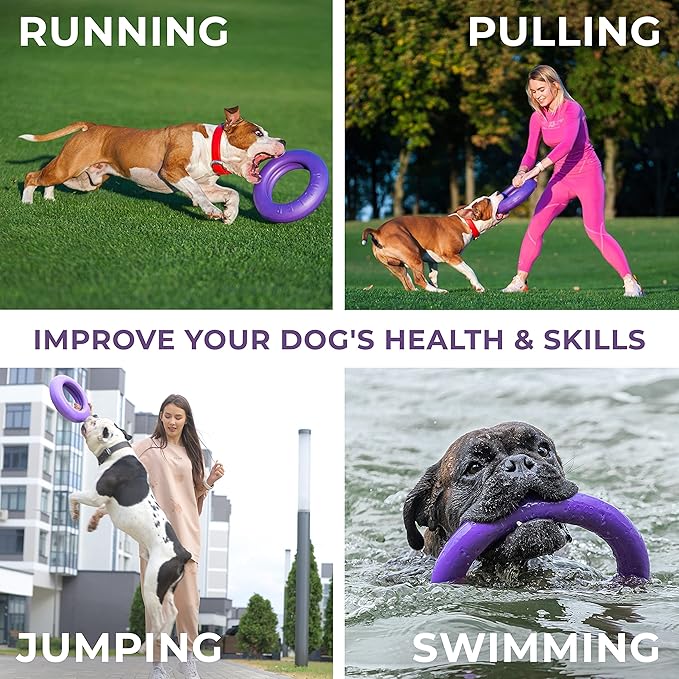 COLLAR Puller Outdoor Ring Toy - Fetch & Tug of War for Small Medium Large Dogs - Ball & Soft Frisbee Alt - Outside Yard Toys - Agility Jumps Tool