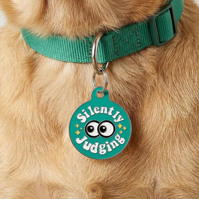 Bad Tags Personalized Dog and Cat ID Tags in 25+ Designs and 2 Sizes - 5 Lines of Custom Engraved Text - Funny Cute Personalized Pet Tags (Silently Judging - Green, Small (1 inch))